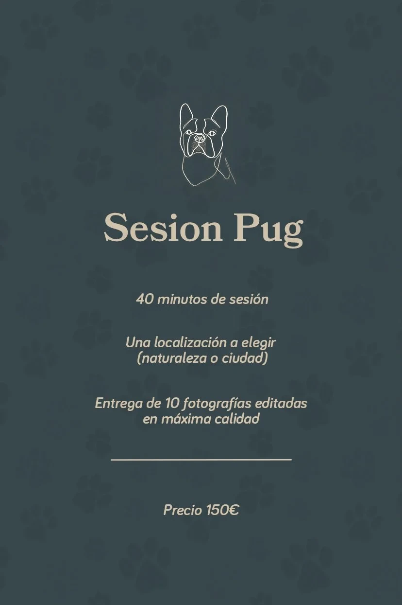 Tarifa Pug.jpg